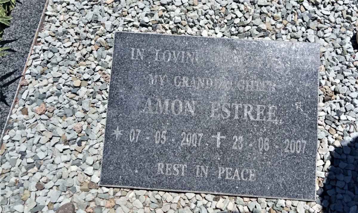 ESTREE Amon 2007-2007