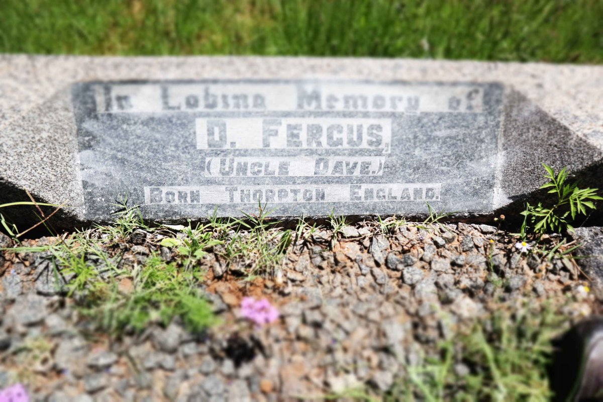 FERGUS D.