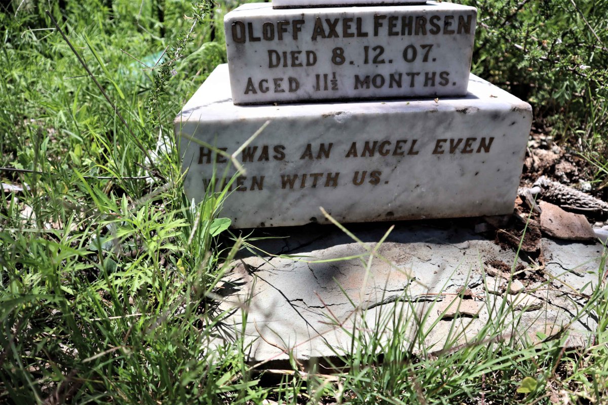 FEHRSEN Oloff Axel -1907