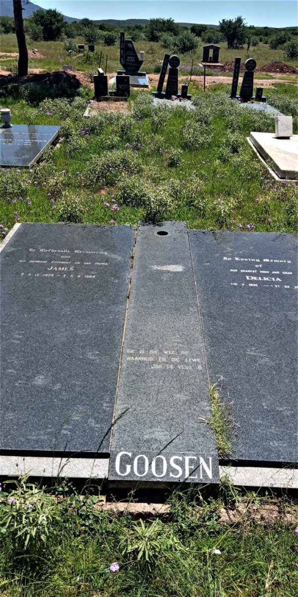 GOOSEN James 1929-1984 &amp; Delicia 1935-2015