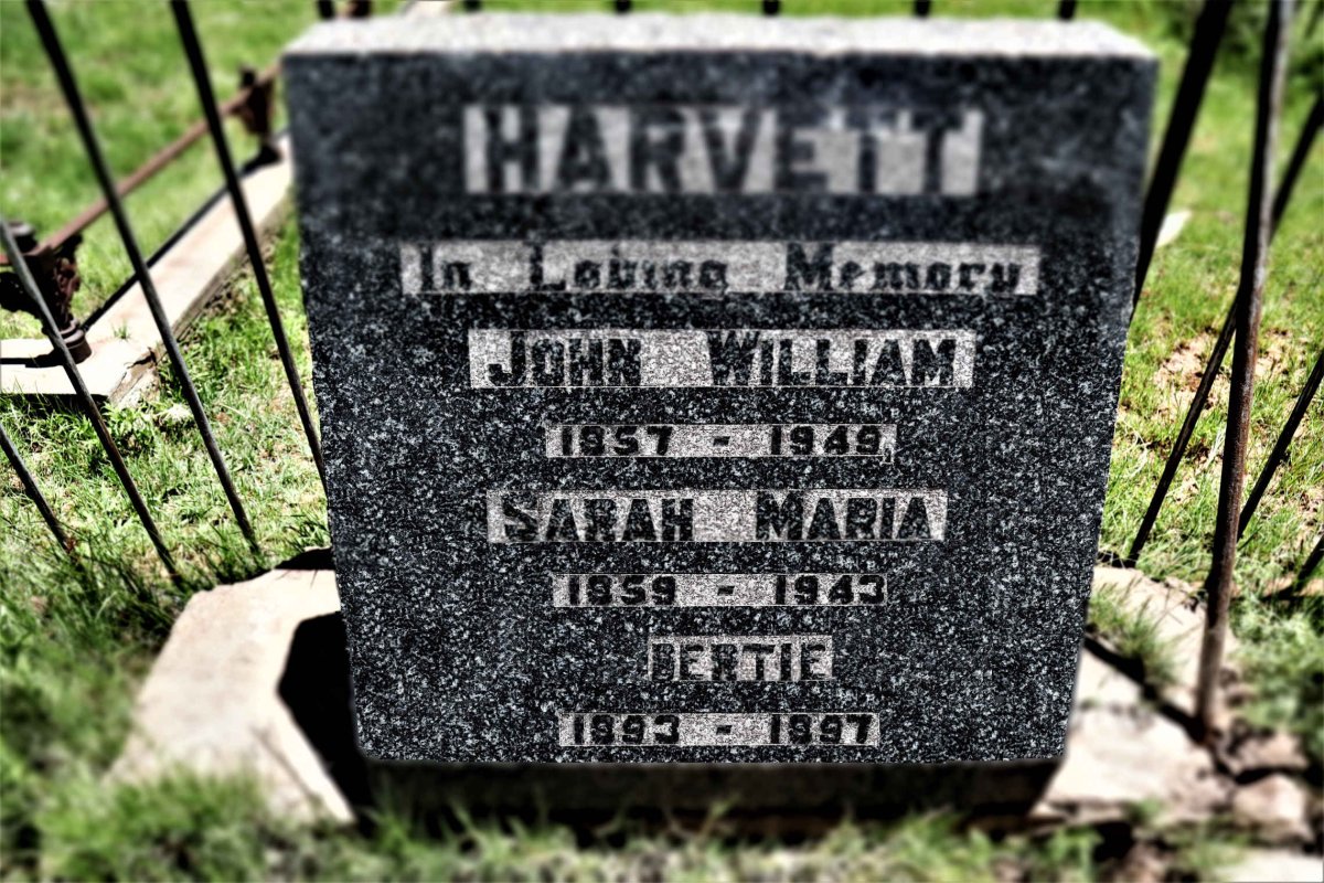 HARVETT John William 1857-1948 &amp; Sarah Maria 1859-1943 :: HARVETT Bertie 1893-1897