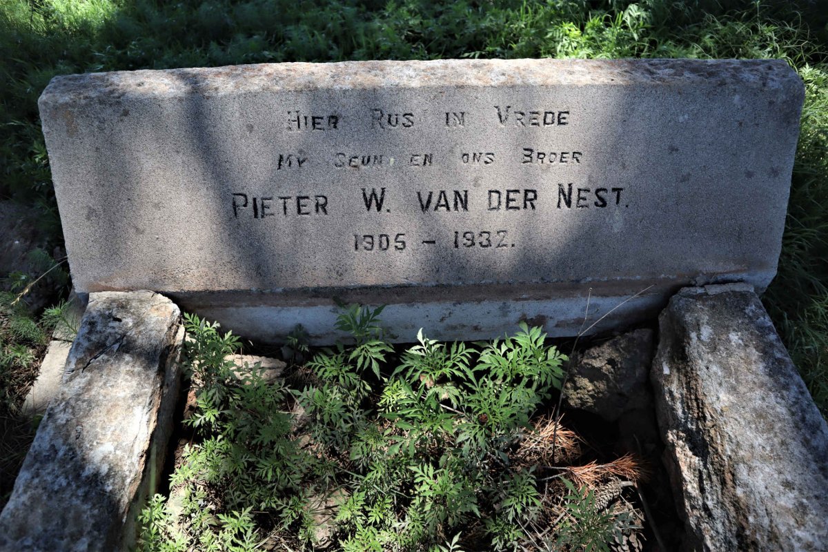 NEST Pieter W., van der 1905-1932