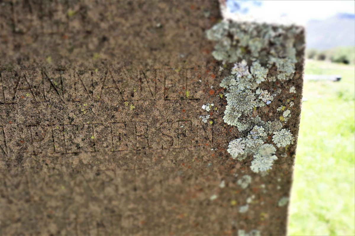 NEL Anna Johanna nee PIETERSEN 1876-19??
