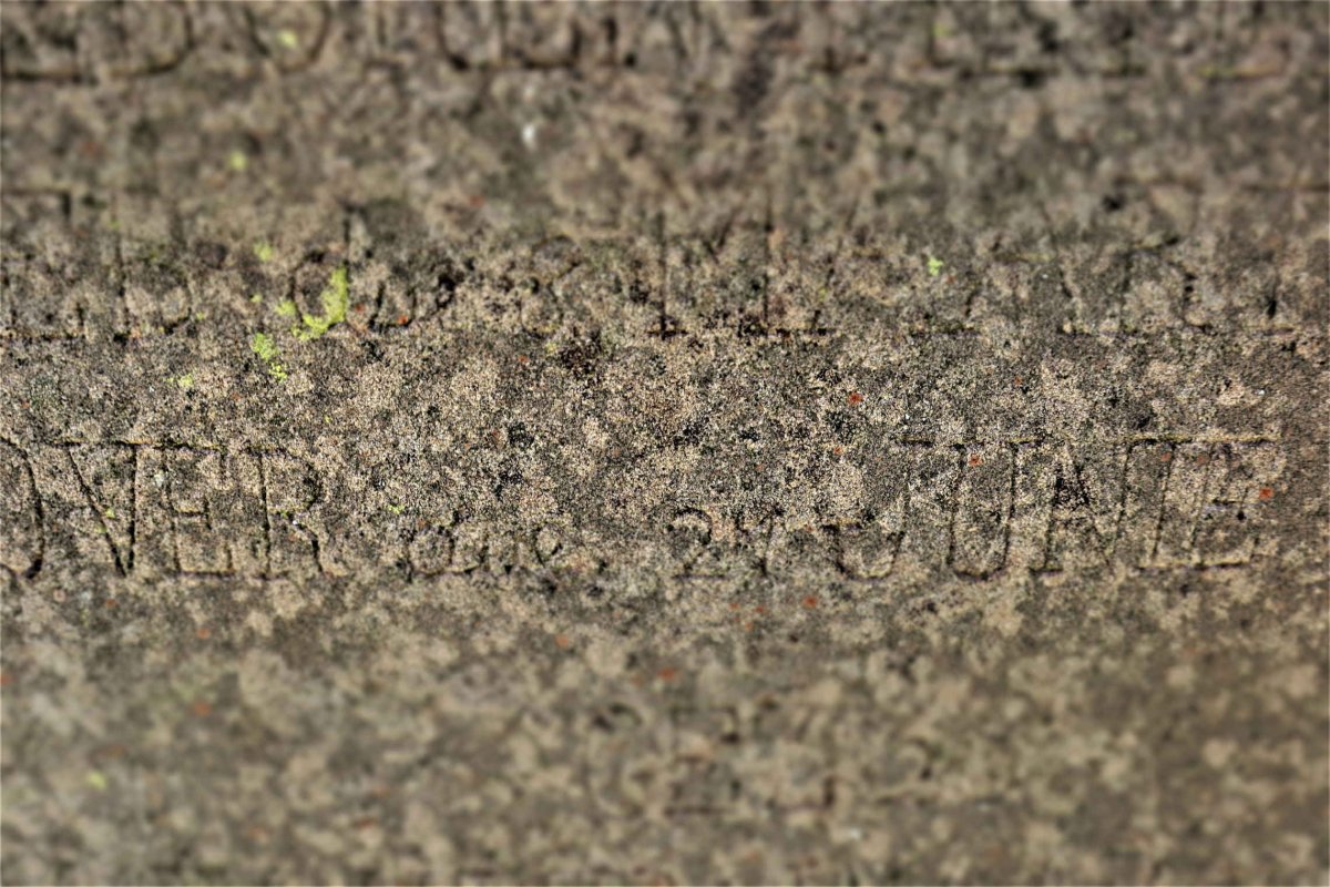 NEL Anna Johanna nee PIETERSEN 1876-19??