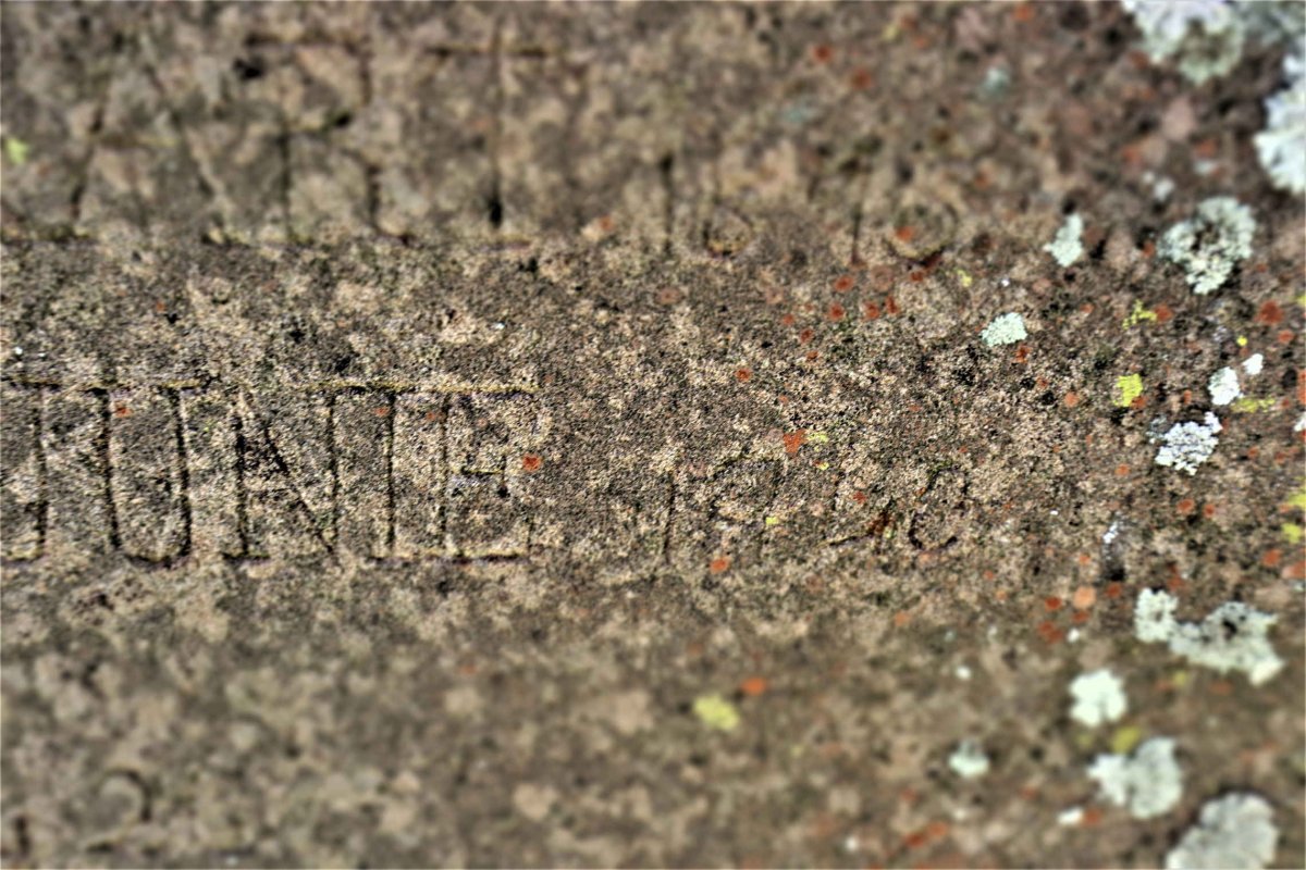 NEL Anna Johanna nee PIETERSEN 1876-19??