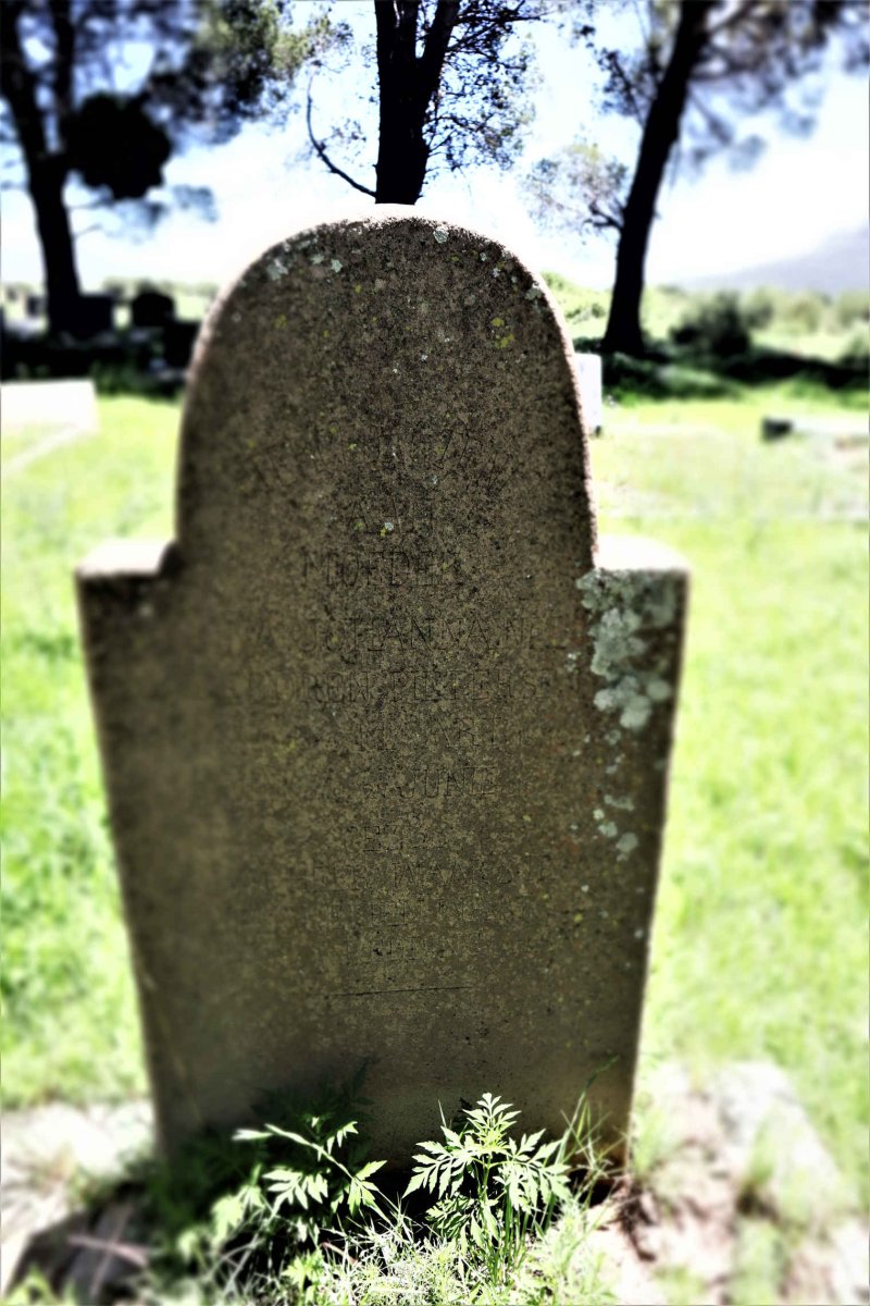 NEL Anna Johanna nee PIETERSEN 1876-19??