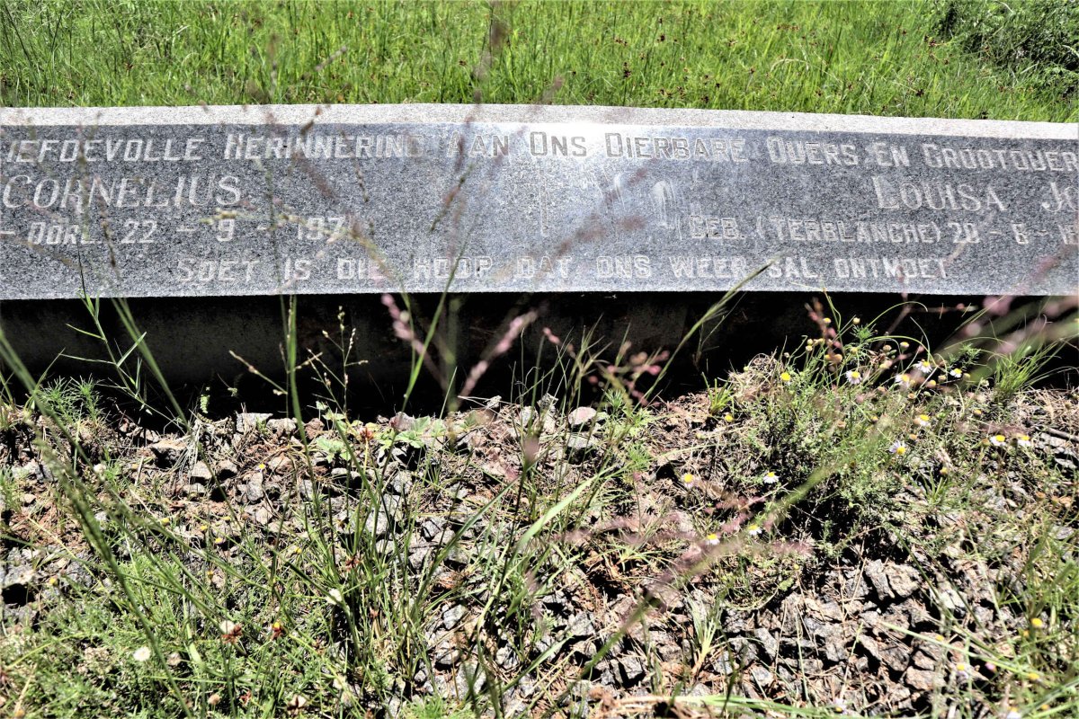 NORT? Lourens Cornelius 1897-1971 &amp; Louisa Johanna TERBLANCHE 1897-1962