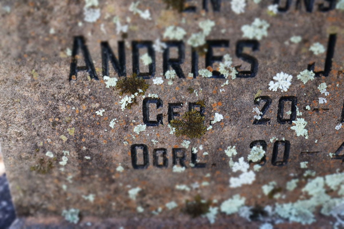 OELOFSE Andries J. 1887-1964 &amp;  Christina W. BOTHA 1870-1943
