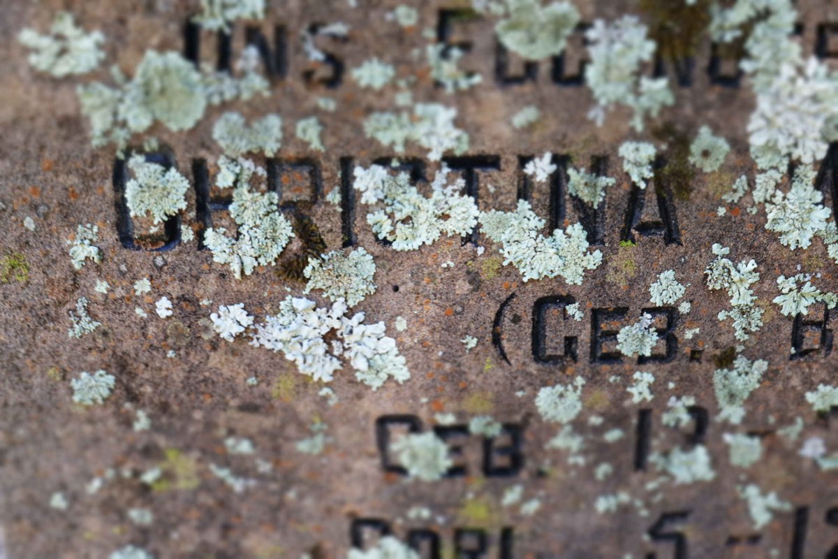 OELOFSE Andries J. 1887-1964 &amp;  Christina W. BOTHA 1870-1943