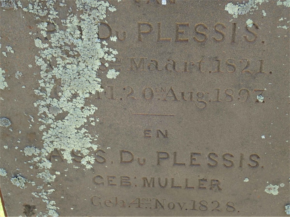 PLESSIS P.J., du 1821-1897 &amp; A.S.S. MULLER 1828-1900