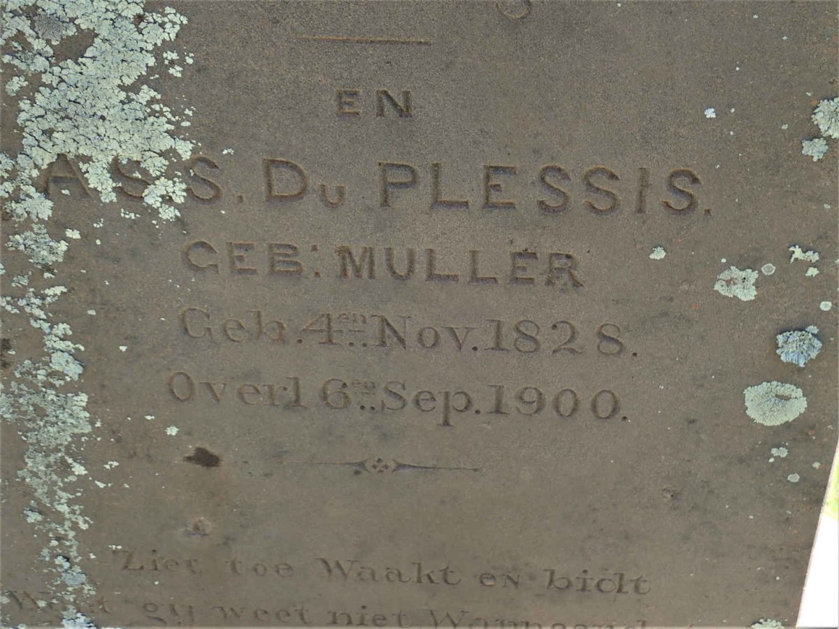 PLESSIS P.J., du 1821-1897 &amp; A.S.S. MULLER 1828-1900
