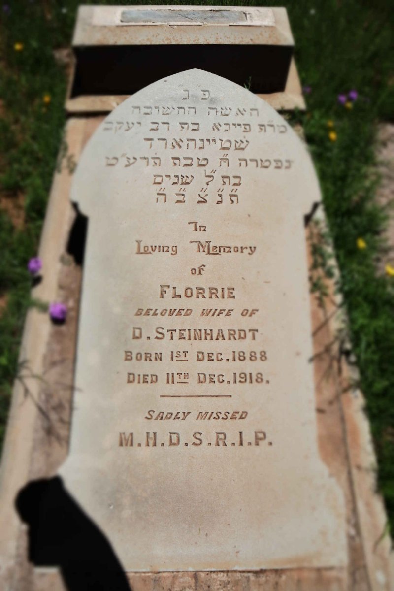 STEINHARDT Florrie 1888-1918