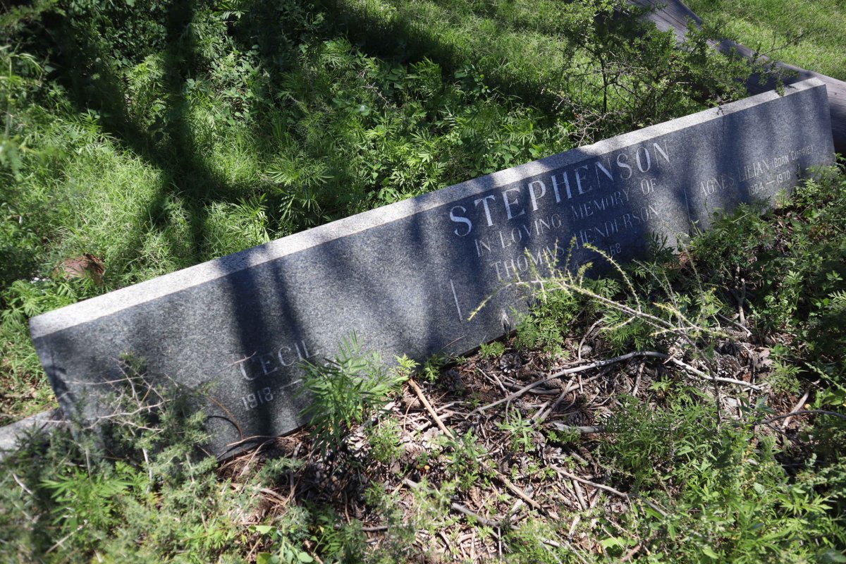 STEPHENSON Thomas Henderson 1874-1968 &amp; Agnes Lilian CURRIE 1884-1970 :: STEPHENSON Cecil 1918-1920