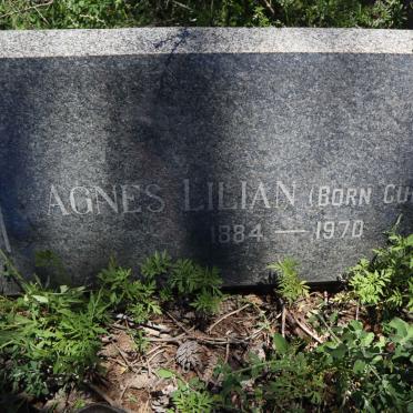 STEPHENSON Thomas Henderson 1874-1968 &amp; Agnes Lilian CURRIE 1884-1970 :: STEPHENSON Cecil 1918-1920