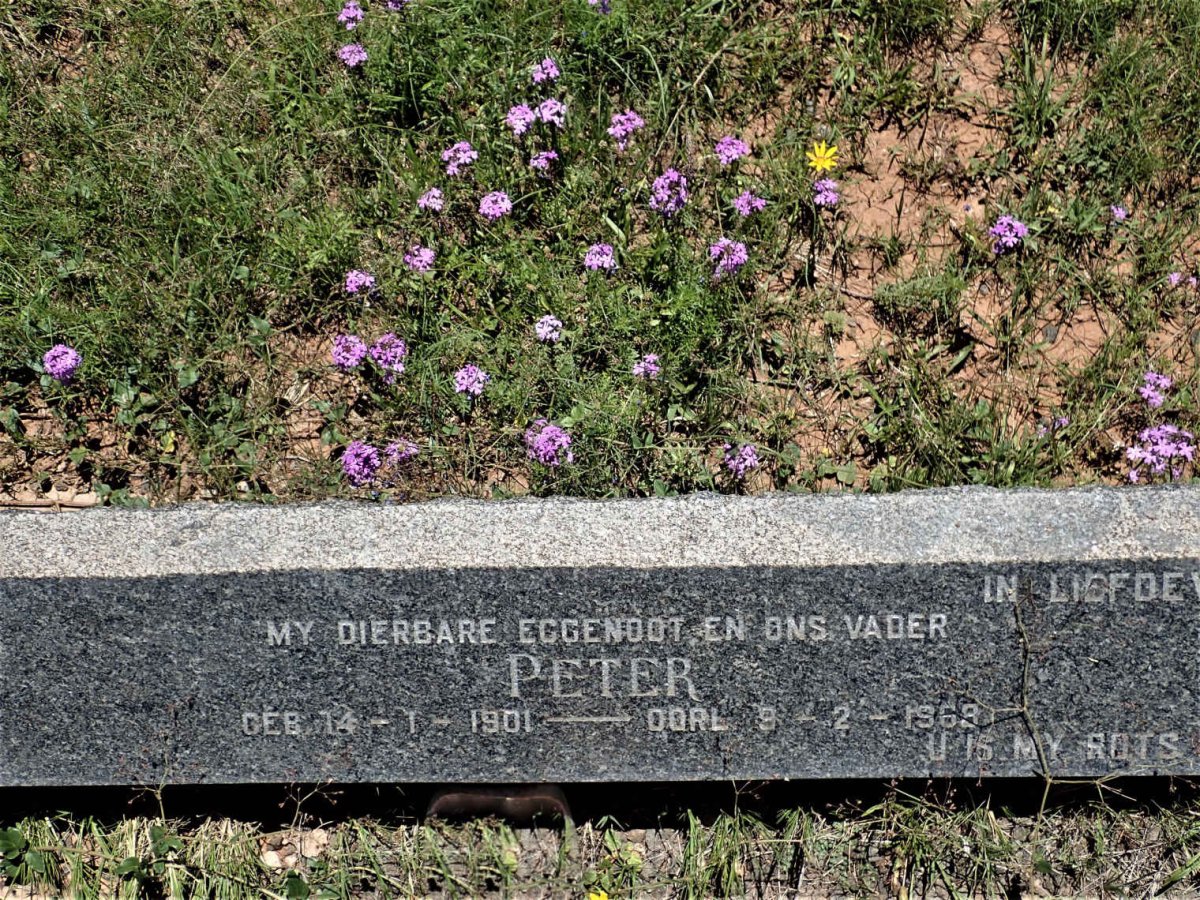 WAUGH Peter 1901-1963 &amp; Kitty 1903-1982 