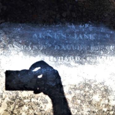 ? Agnes Jane