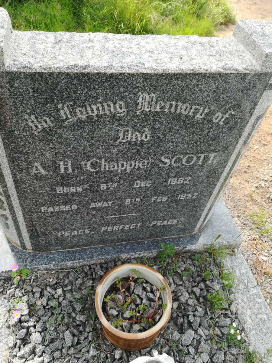 SCOTT A.H. 1882-1952