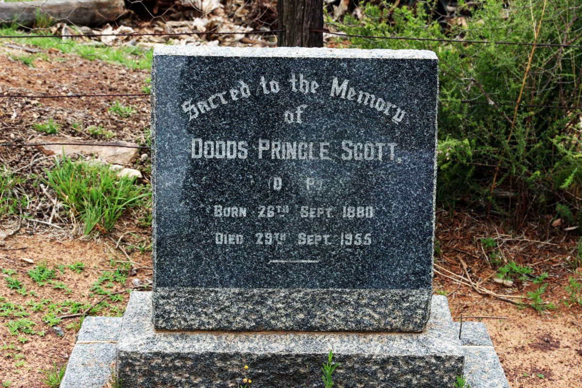 SCOTT Dodds Pringle 1880-1955