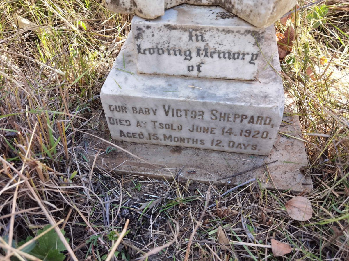 SHEPPARD Victor -1920