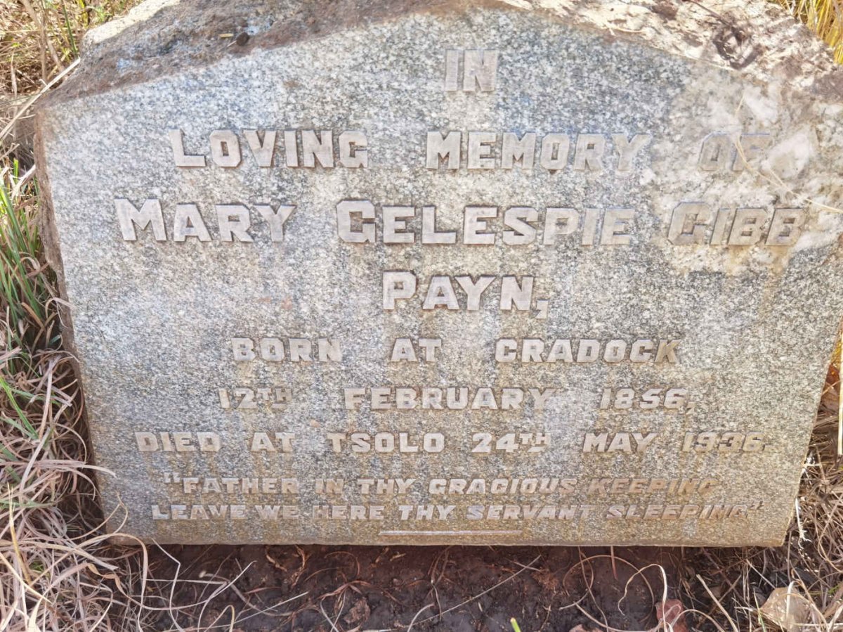 PAYN Mary Gelespie Gibb 1856-1936