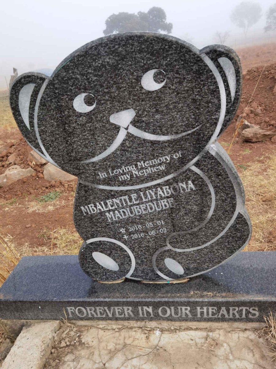 MADUBEDUBE Mbalentle Liyabona 2016-2016