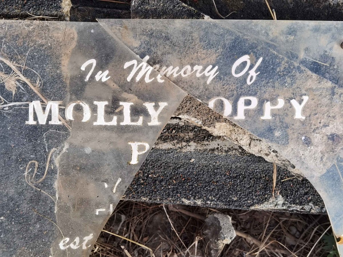 ? Molly