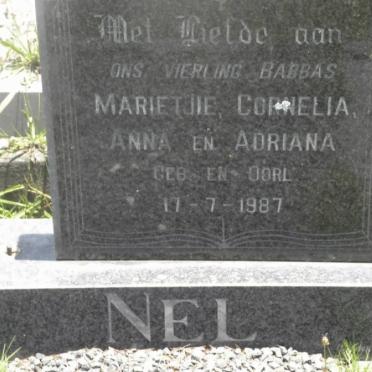 N - Vanne :: Surnames - N