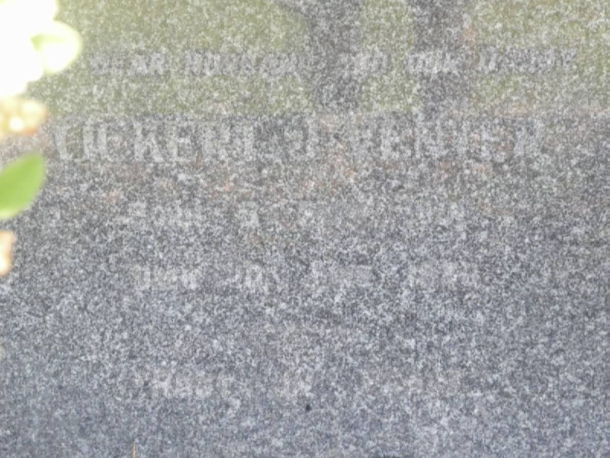 VENTER Ockert J.