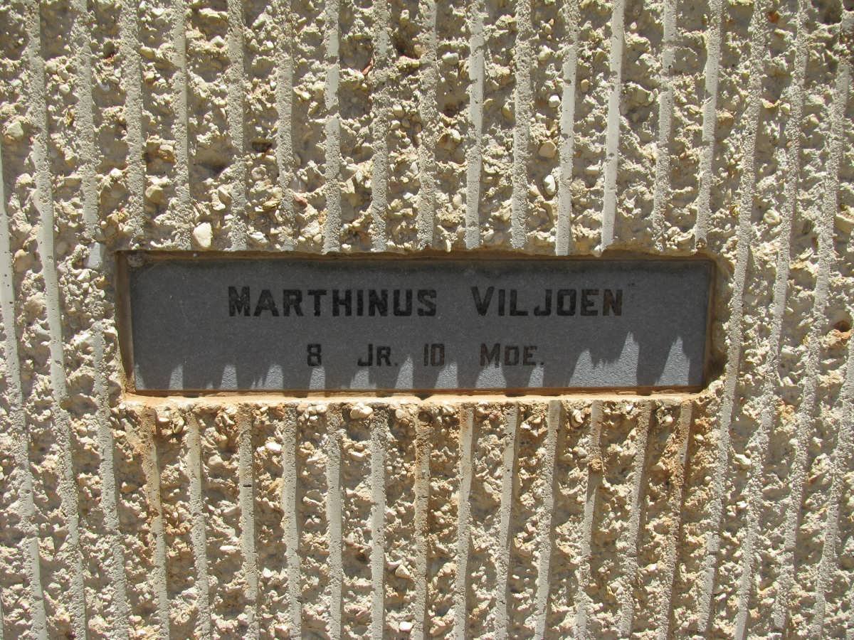 VILJOEN Marthinus 