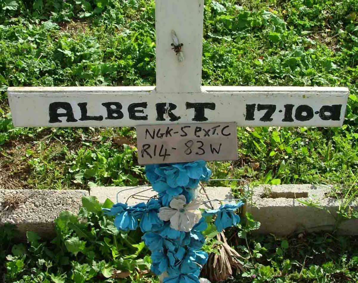 ? Albert -2001