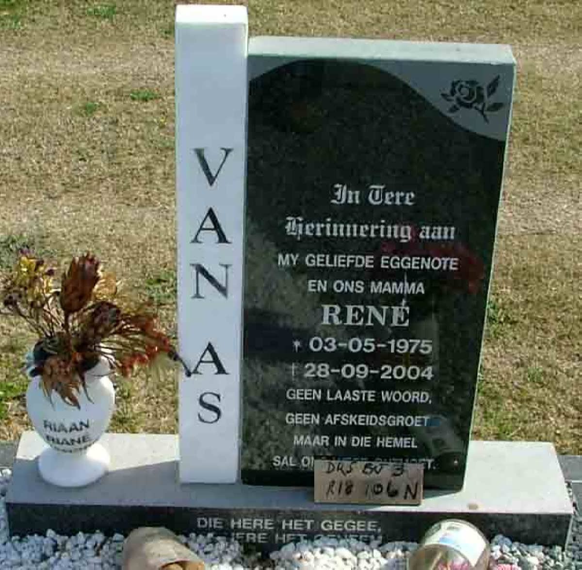 AS René, van 1975-2004
