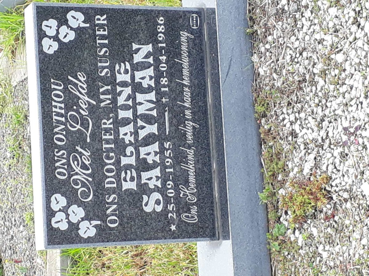 SAAYMAN Elaine 1955-1986
