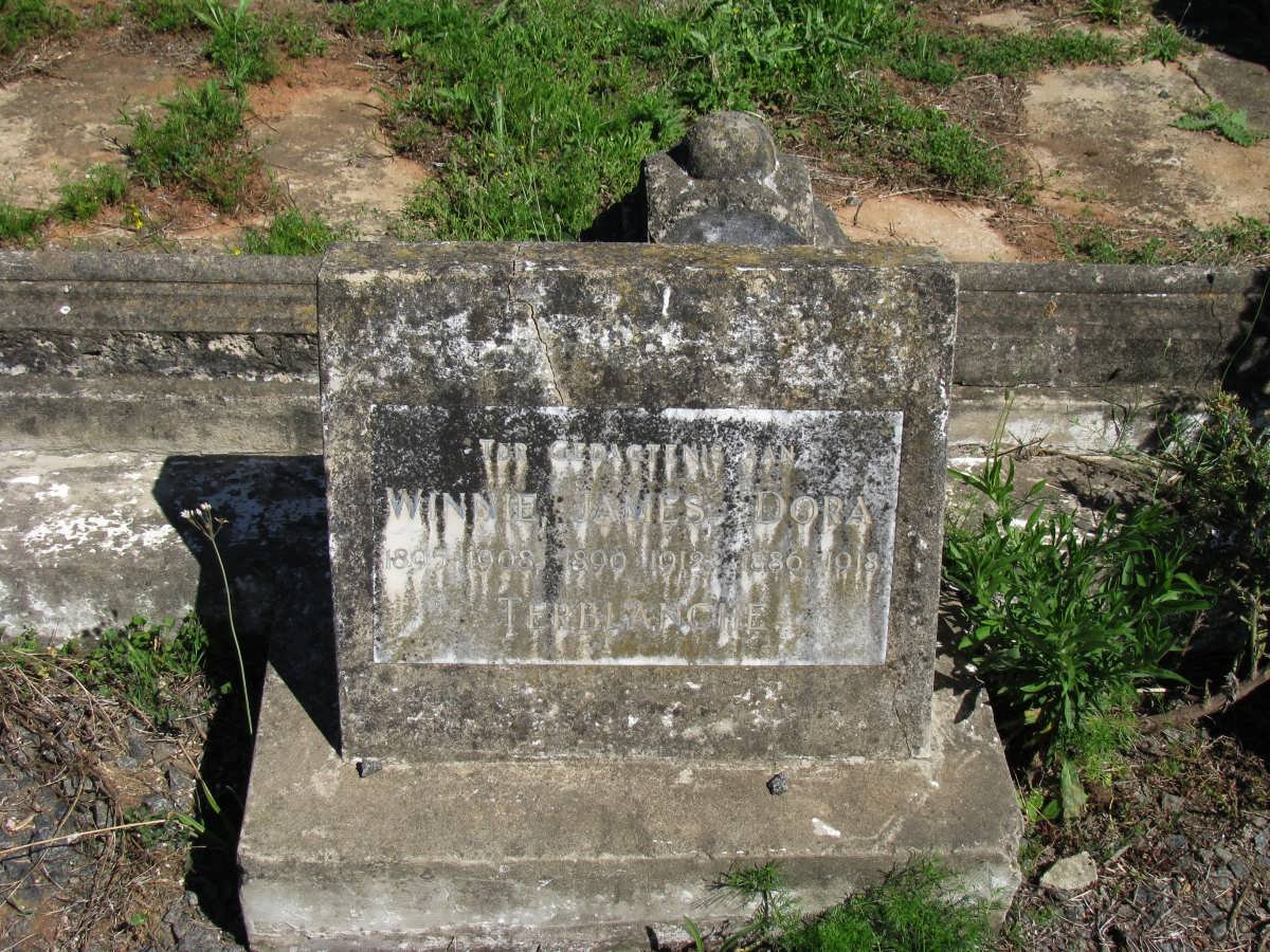 TERBLANCHE Dora 1886-1918 :: TERBLANCHE Winnie 1895-1908 :: TERBLANCHE James 1899-1912