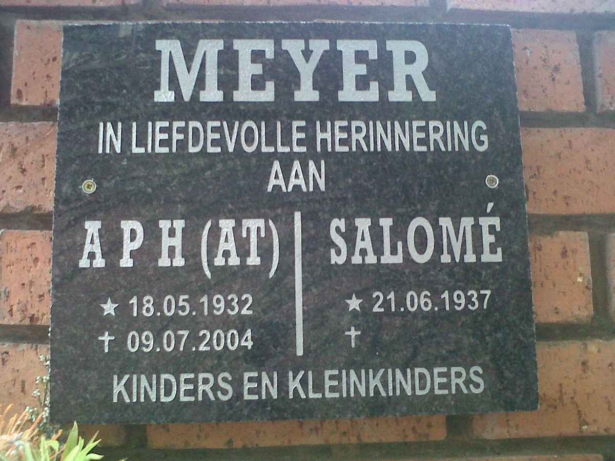 MEYER A.P.H. 1932-2004 &amp; Salomé 1937-