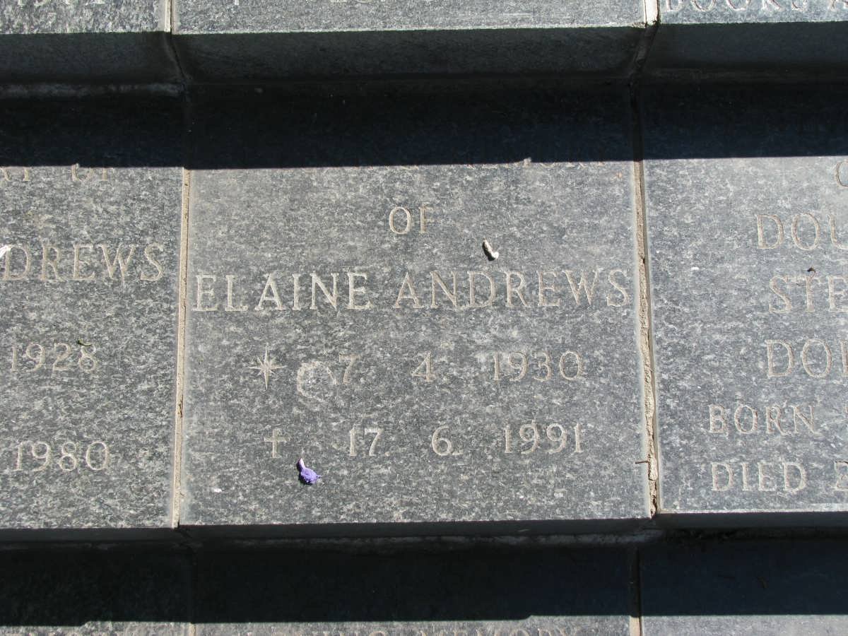 ANDREWS Elaine 1930-1991