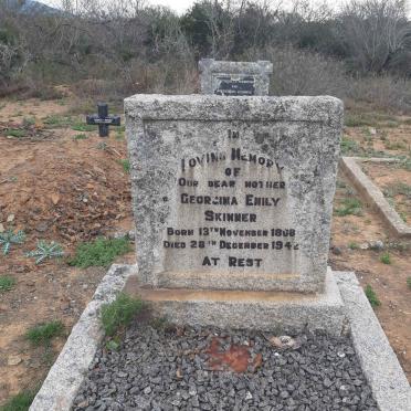 SKINNER Georgina Emily 1868-1942