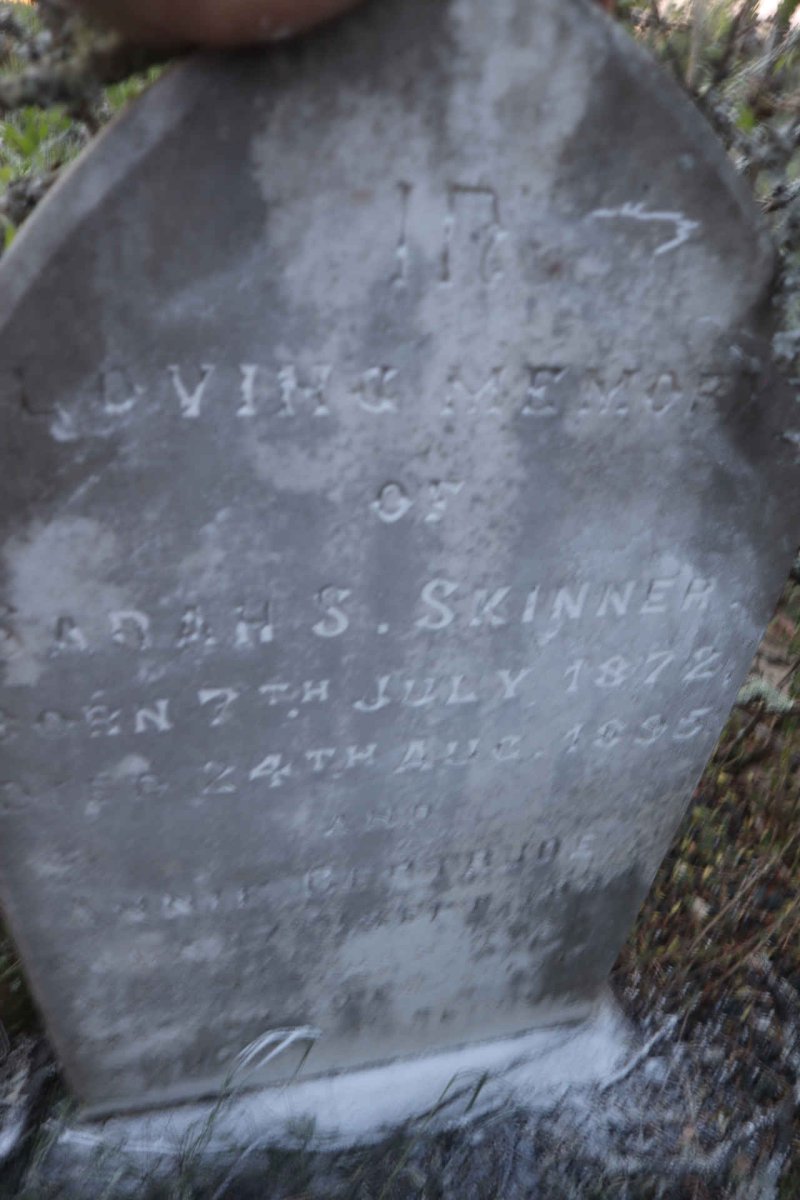 SKINNER Sarah S. 1872-1895 :: SKINNER Annie Gertrude  -1895
