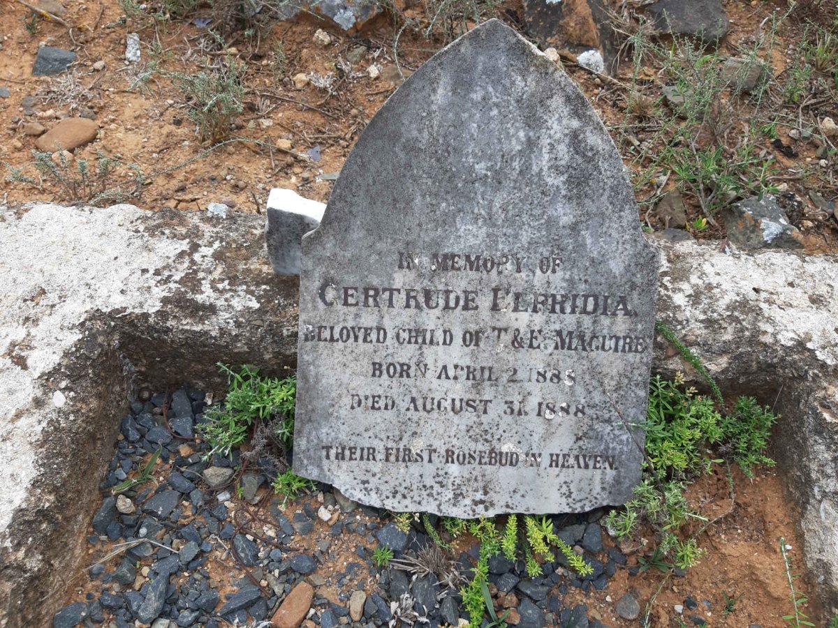 MAGUIRE Gertrude Elfridia 1888-1888
