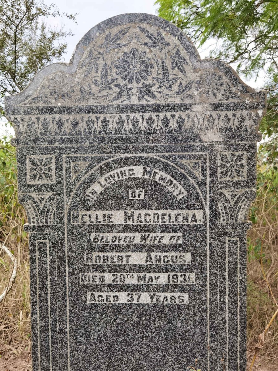 ANGUS Nellie Magdelena -1931