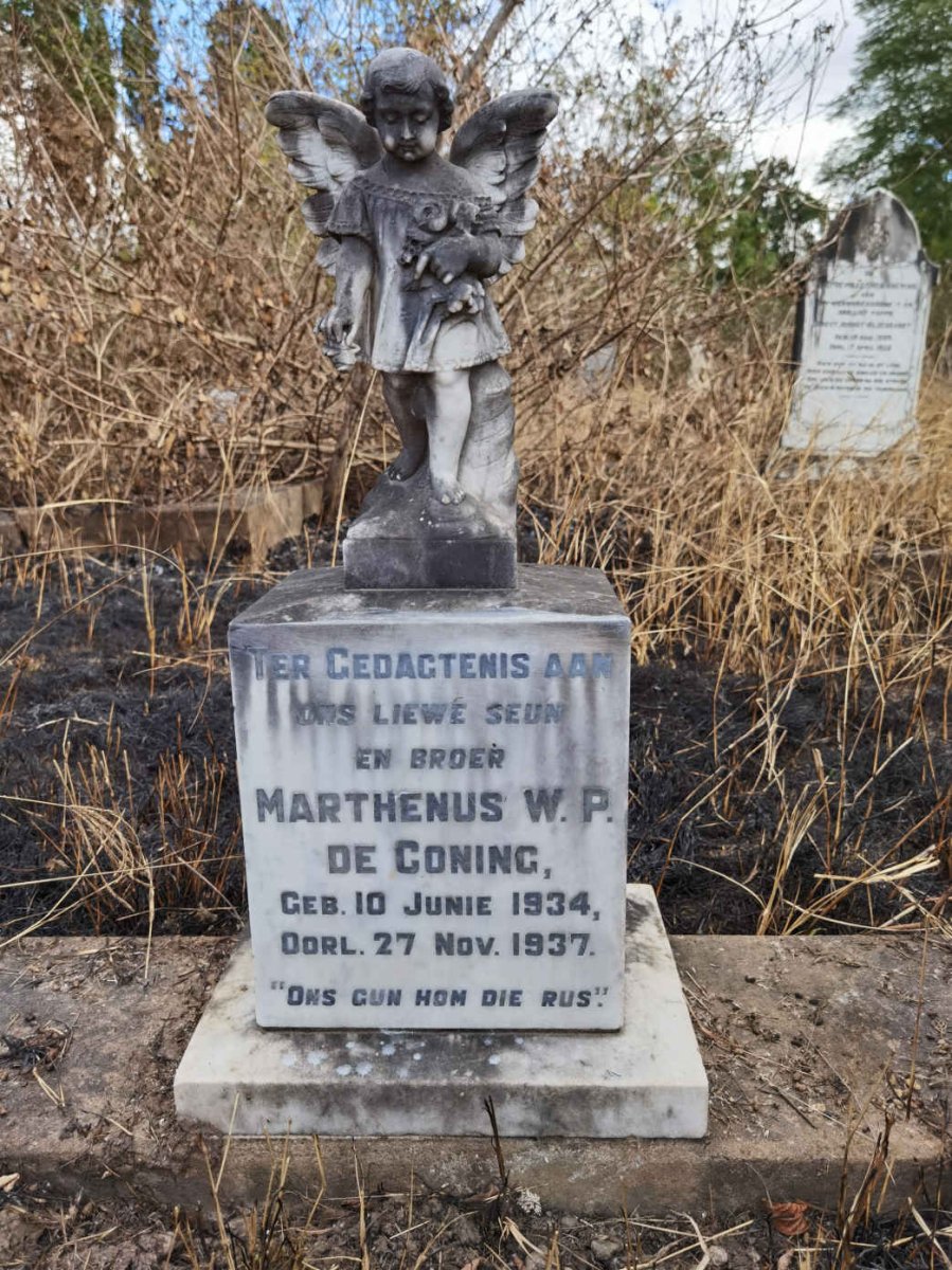 CONING Marthenus W.P., de 1934-1937