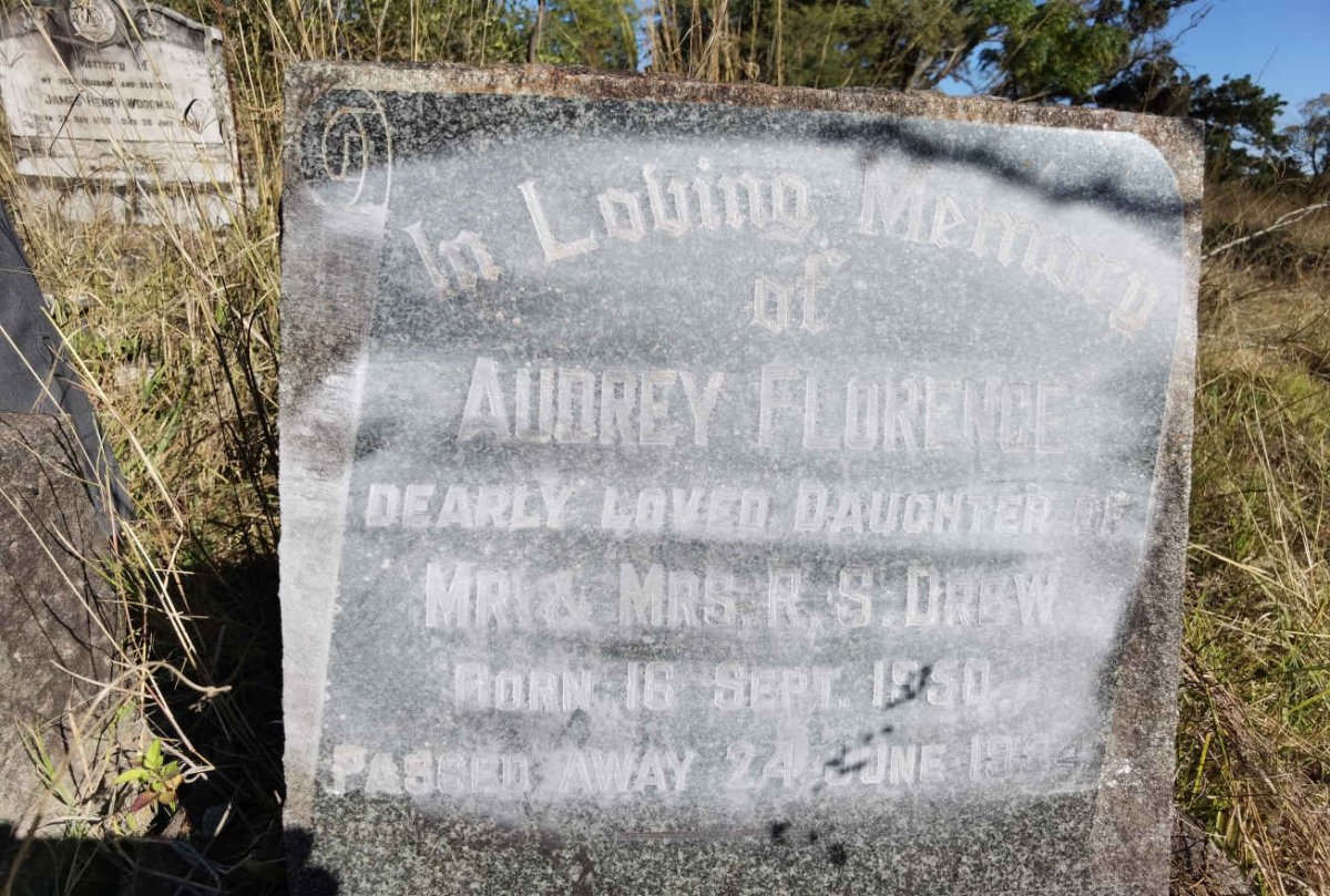 DREW Audrey Florence 1950-1954