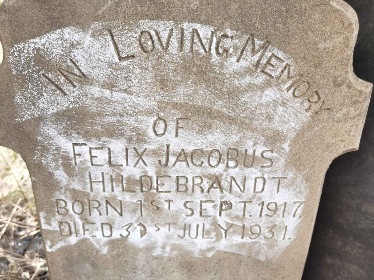 HILDEBRANDT Felix Jacobus 1917-1931