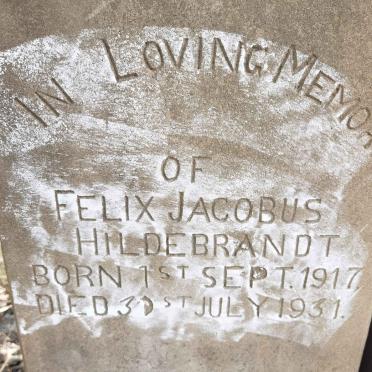 HILDEBRANDT Felix Jacobus 1917-1931
