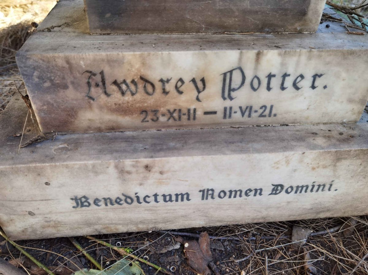 POTTER Awdrey 1911-1921