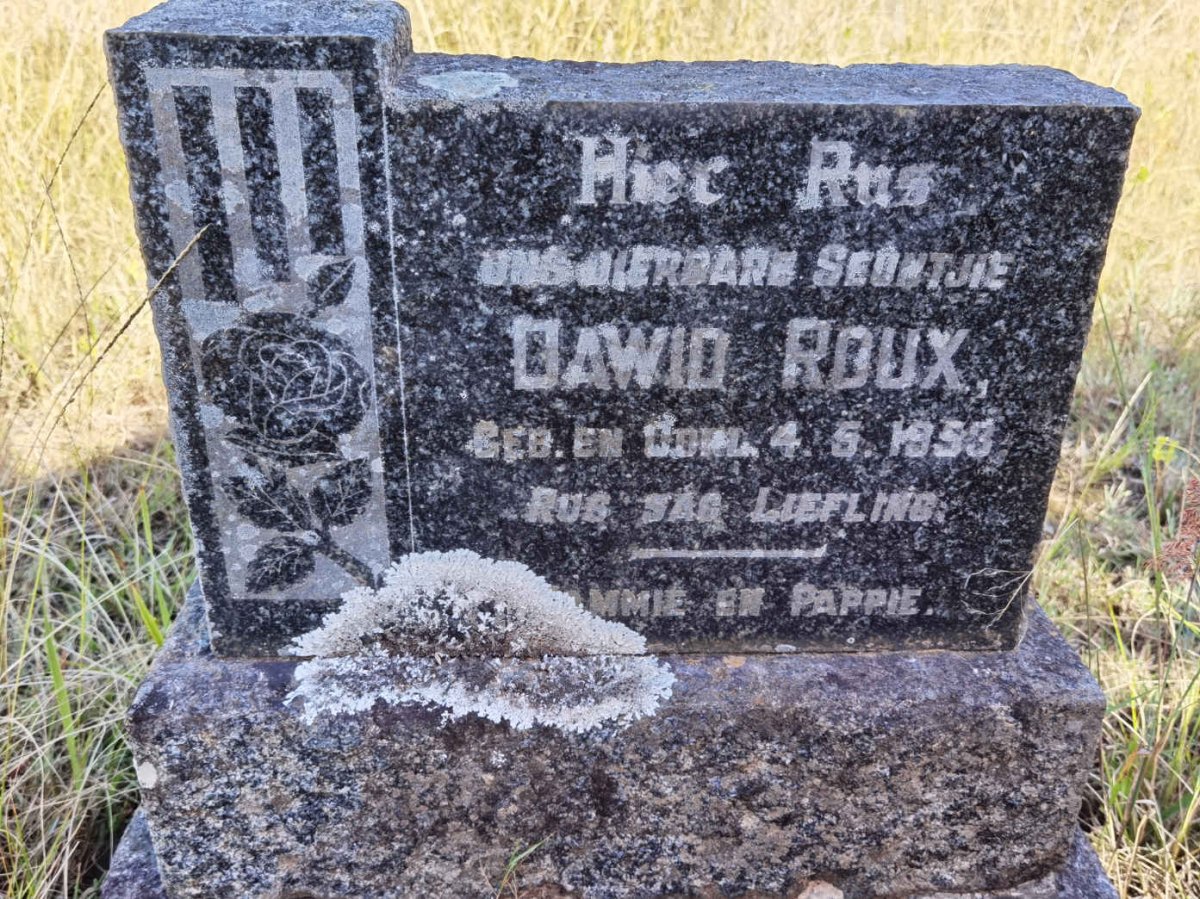 ROUX Dawid 1953-1953