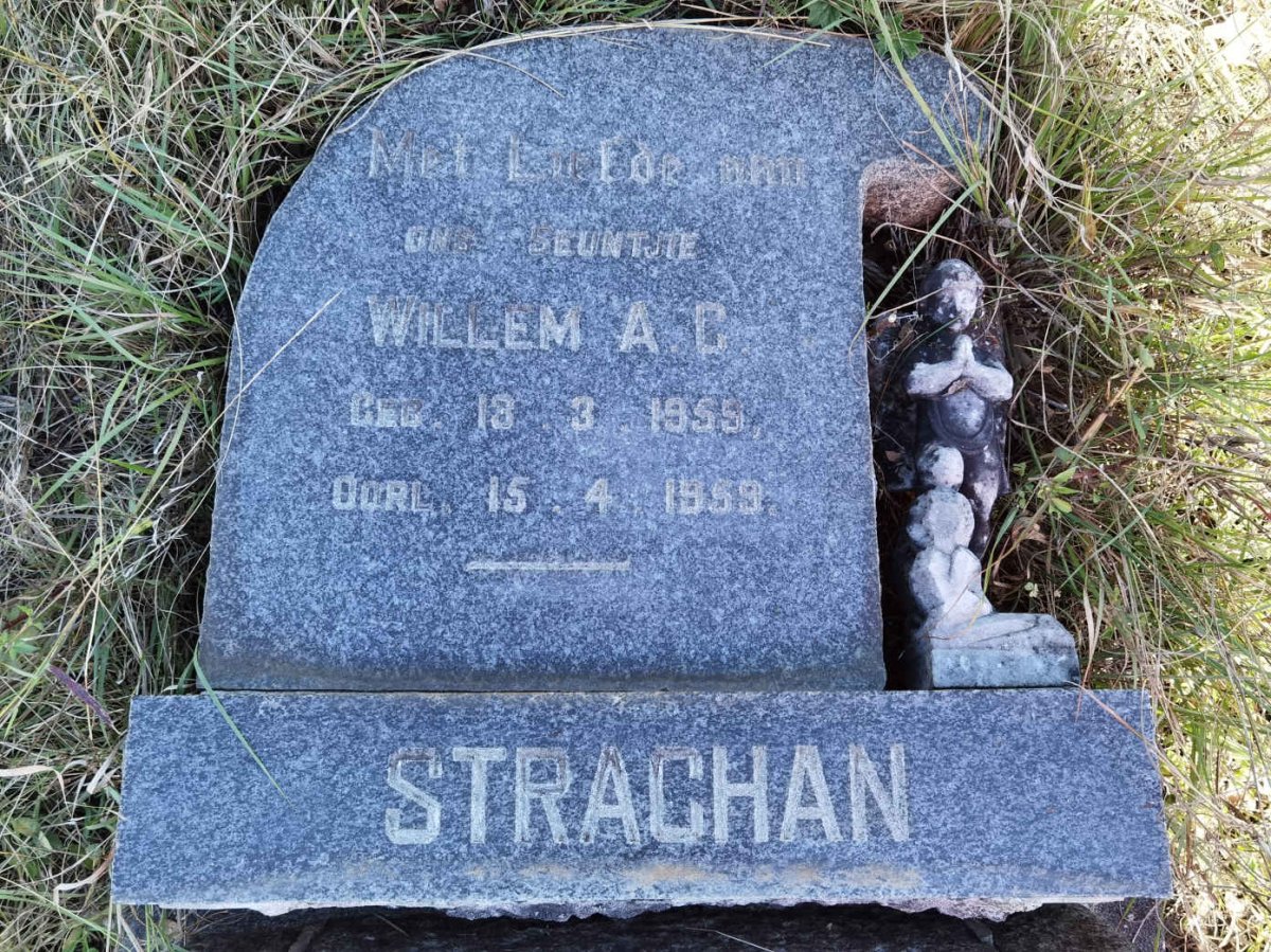 STRACHAN Willem A.C. 1959-1959