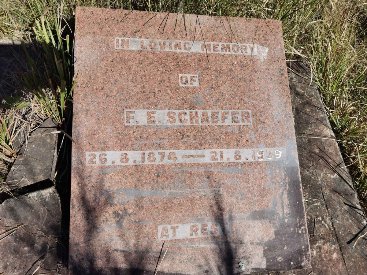 SCHAEFER F.E. 1874-1939