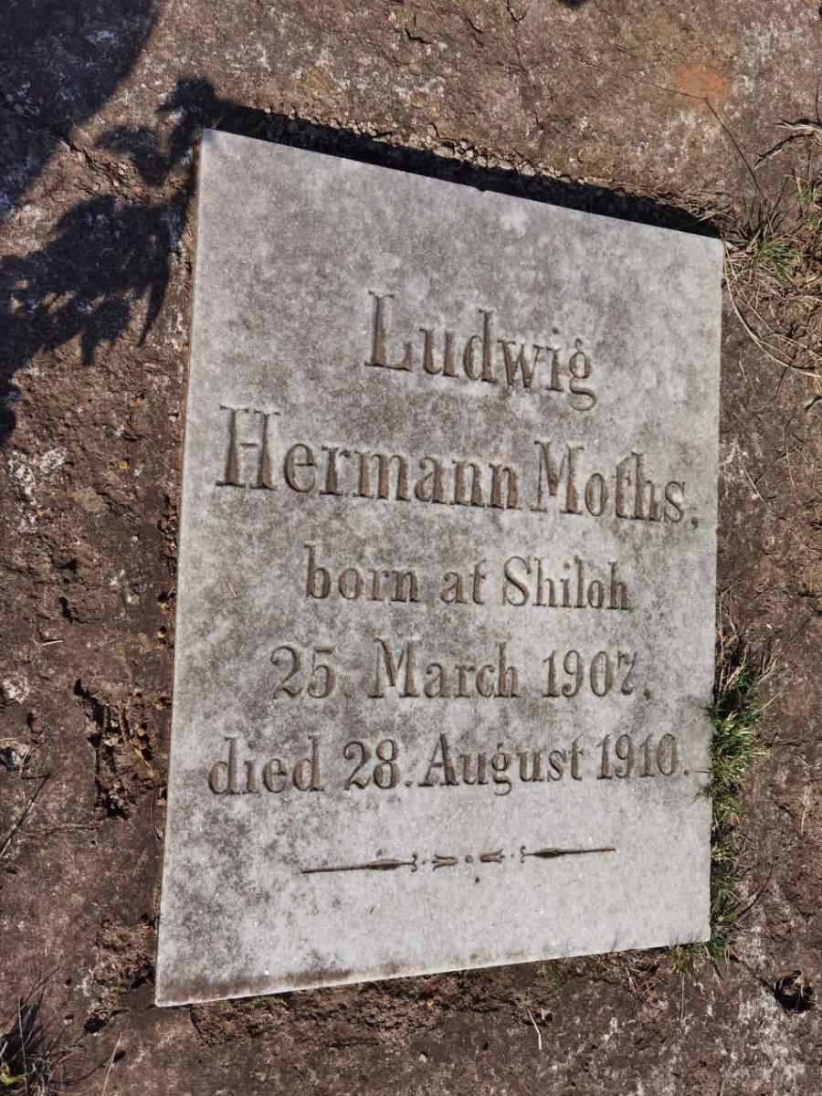 MOTHS Ludwig Hermann 1907-1910