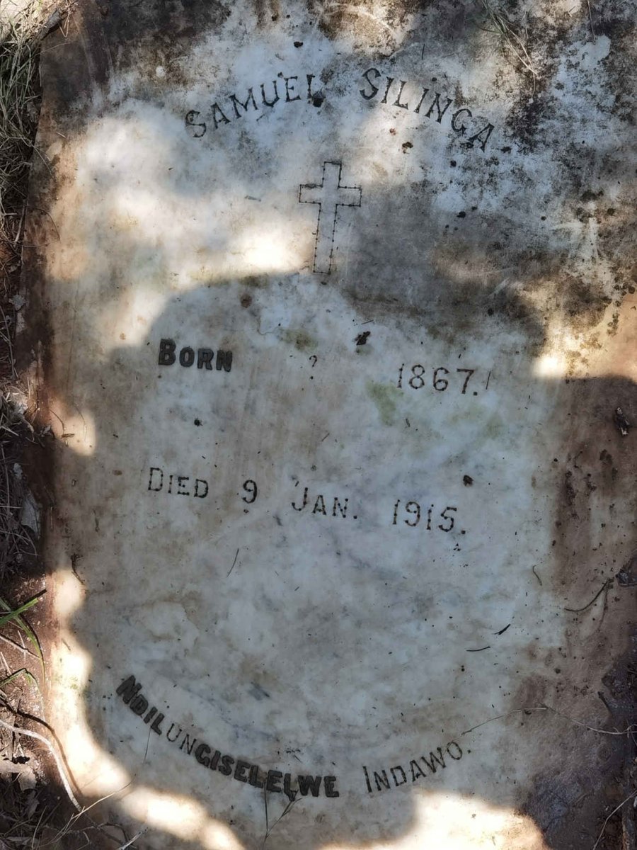SILINGA Samuel 1867-1915