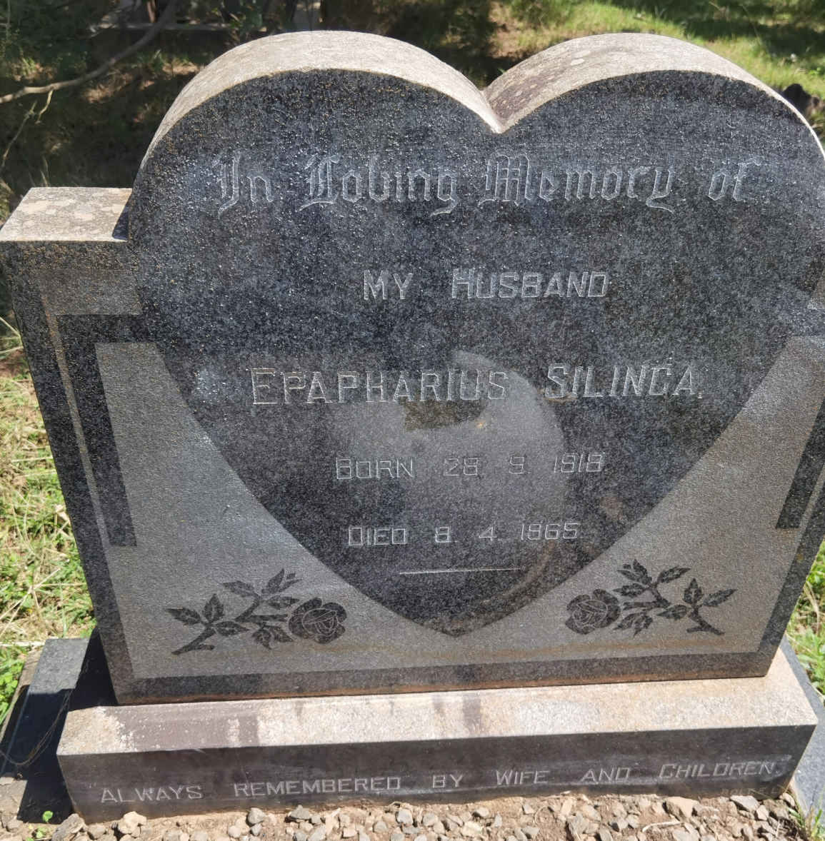 SILINGA Epapharius 1918-1965